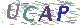 验证码