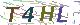 验证码