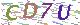 验证码